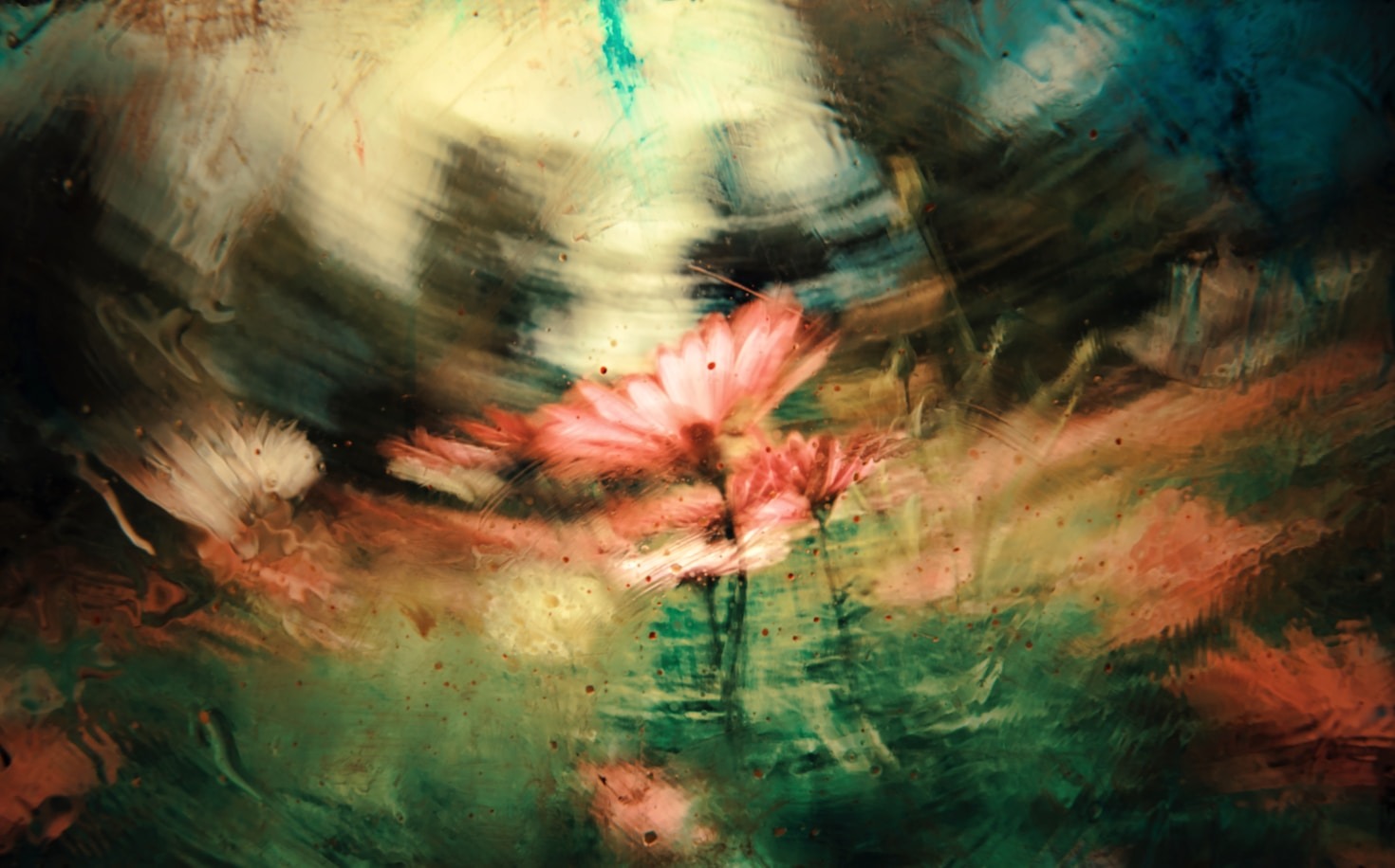 The Role of Curiosity in a Creative Life